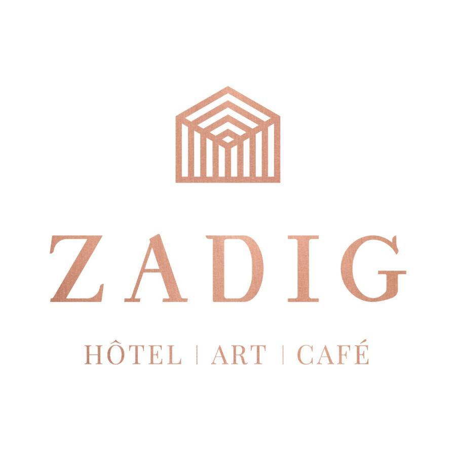 Hotel Zadig オーリヤック エクステリア 写真